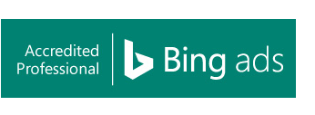 Bing Ads Professional